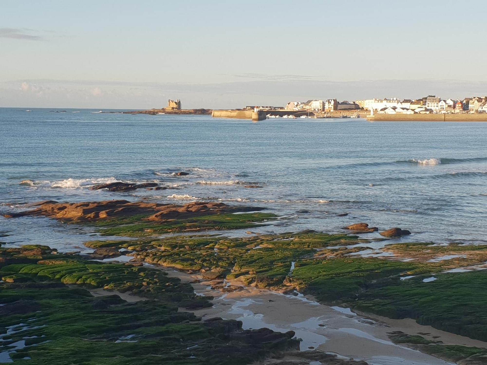 Appartement Cocon A Quiberon Dans Residence Calme, Plages Et Centre Ville A Pied Ou A Velo Pour 2 A 4 Personnes Екстериор снимка