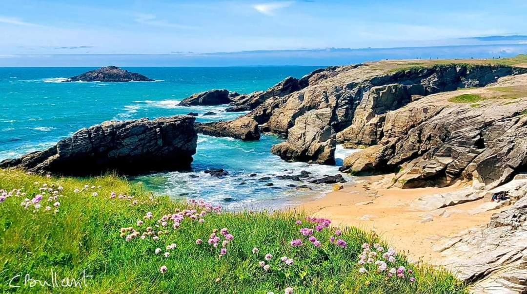 Appartement Cocon A Quiberon Dans Residence Calme, Plages Et Centre Ville A Pied Ou A Velo Pour 2 A 4 Personnes Екстериор снимка