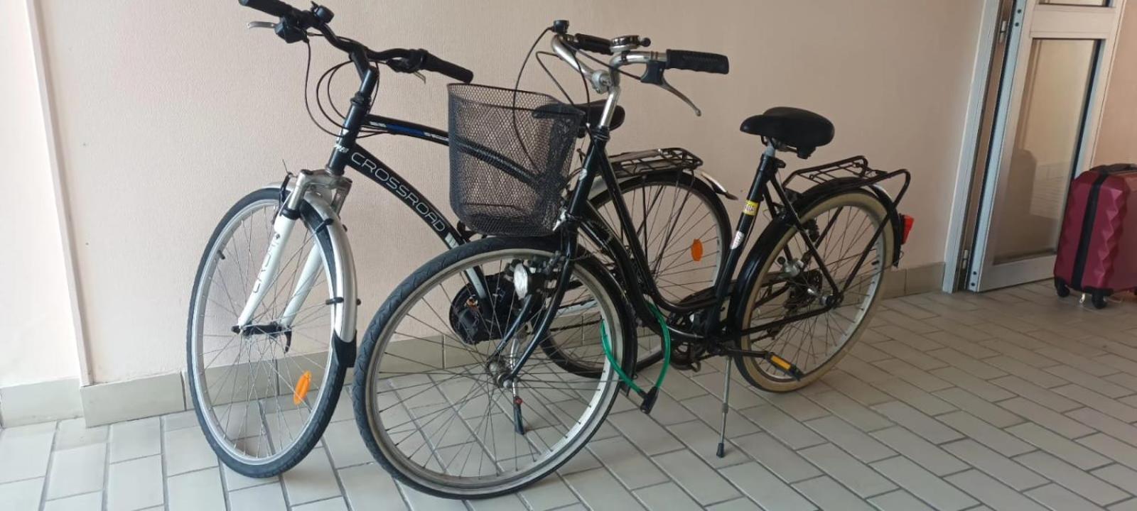 Appartement Cocon A Quiberon Dans Residence Calme, Plages Et Centre Ville A Pied Ou A Velo Pour 2 A 4 Personnes Екстериор снимка